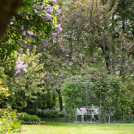 Lägenhet Maechenhaften In Historischem Gebaeude 12p I 4 Baeder I Sauna Zubuchbar I Pizzaofen L Garten *