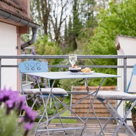 Lägenhet Maechenhaften In Historischem Gebaeude 12p I 4 Baeder I Sauna Zubuchbar I Pizzaofen L Garten Ehingen (Alb-Donau)